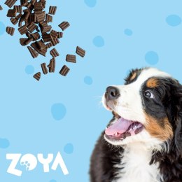 ZOYA ZOYA COLDPRO Kaczka sucha karma dla psa 1kg