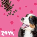 ZOYA ZOYA COLDPRO Wołowina sucha karma dla psa 1kg