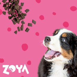 ZOYA ZOYA COLDPRO Wołowina sucha karma dla psa 1kg