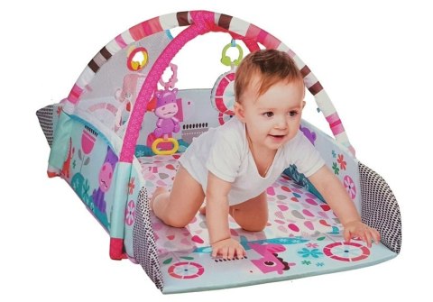 LEAN Toys Duża Mata Basen Edukacyjna dla Niemowląt 5w1 z Pałąkami Hipopotam Piłeczki