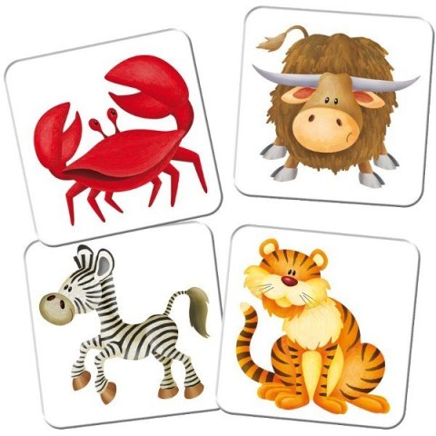 Gra Kuferek Zoo Memory Adamigo Gra Kuferek Zoo Memory Adamigo