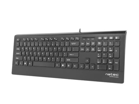 Klawiatura BARRACUDA Slim Czarna USB Natec