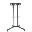 Stojak mobilny LCD/LED 30-65cali,60kg, regulowany Techly
