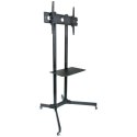 Stojak mobilny LCD/LED 30-65cali,60kg, regulowany Techly