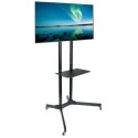 Stojak mobilny LCD/LED 30-65cali,60kg, regulowany Techly