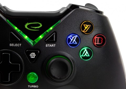 GAMEPAD BEZPRZEWODOWY PC/PS3/XBOX ONE SERIES X/S USB MAJOR Esperanza