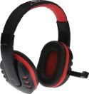 Słuchawki stereofoniczne PC Rohan, z mikrofonem, 2x mini jack 3,5mm (in/out) Rebeltec