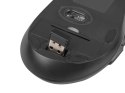 Zestaw 2 w 1 klawiatura + mysz Stingray US optyczna bezprzewodowa Natec