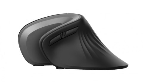 Mysz bezprzewodowa Verro Ergonomic Trust
