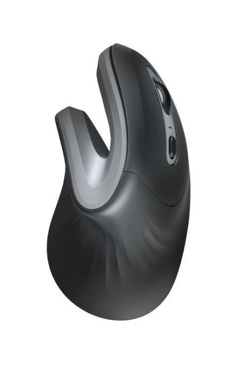 Mysz bezprzewodowa Verro Ergonomic Trust