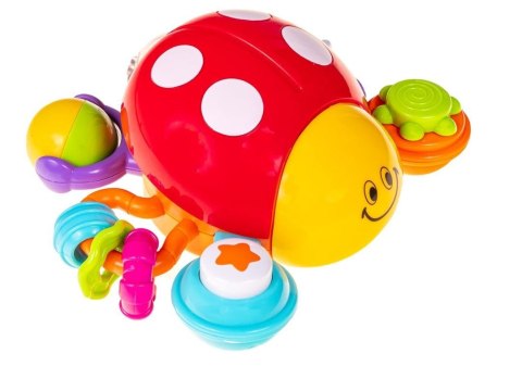 Biedronka Dogonię Cię Biedroneczko Smily Play