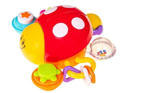 Biedronka Dogonię Cię Biedroneczko Smily Play