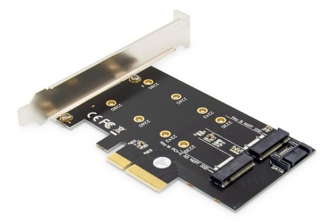 Karta rozszerzeń (Kontroler) M.2 NGFF/NVMe SSD PCIe 3.0 x4 SATA 80, 60, 42, 30 mm Digitus