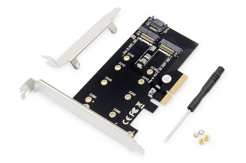 Karta rozszerzeń (Kontroler) M.2 NGFF/NVMe SSD PCIe 3.0 x4 SATA 80, 60, 42, 30 mm Digitus