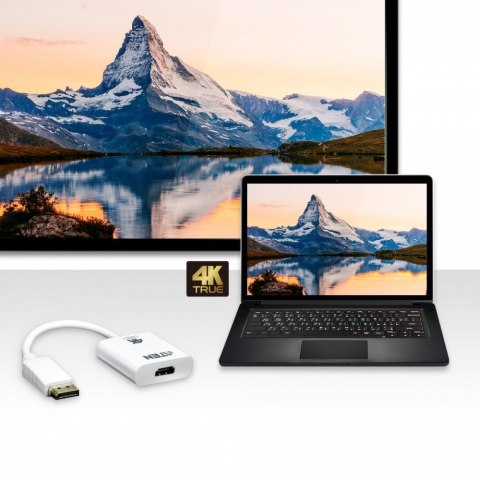 Adapter DisplayPort do HDMI 4K ATEN Adapter DisplayPort do HDMI 4K ATEN