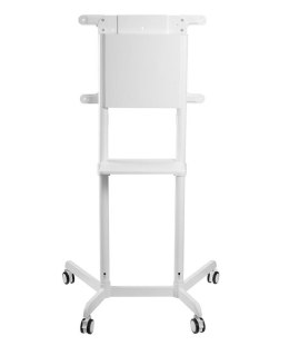 Mobilny stojak podłogowy NS-M1250 biały Neomounts