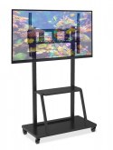 Stojak LCD 55-100 cali 150 kg Techly