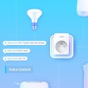 Kontroler Tapo P100 Smart Plug WiFi 2-pak TP-LINK