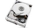 Dysk SkyHawkAI 10TB 3,5 256MB ST10000VE001 Seagate
