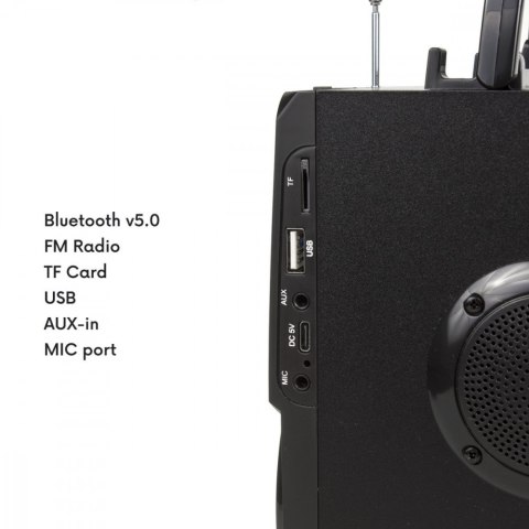 GĹoĹnik Bluetooth radio USB Audiocore AC730