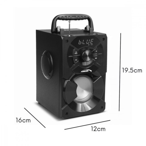 GĹoĹnik Bluetooth radio USB Audiocore AC730