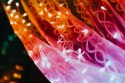 Inteligentna kurtyna Curtain 210 LED RGB+W 1,5/2,1m, przezroczysty przewód TWINKLY