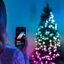 Inteligentne lampki choinkowe Strings 600 RGB LED, łańcuch, przezroczysty przewód, 48 m, IP44 TWINKLY