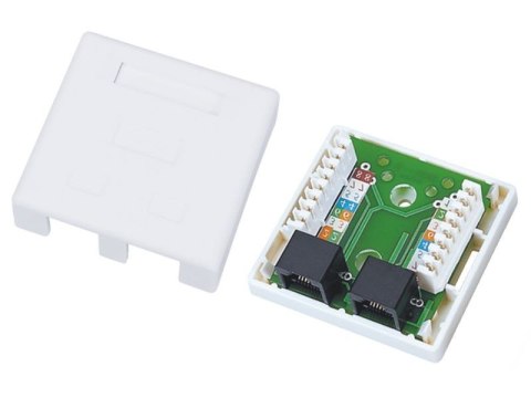 Gniazdo natynkowe UTP kat.6 2xRJ45 ALANTEC