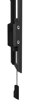 Uchwyt ścienny WL30-550BL16 40-75 cali Neomounts