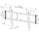 Uchwyt ścienny WL35-550BL16 40-75 cali Neomounts