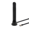 Antena 5G LTE dookólna DUAL | 8 dBi | wewnętrzna Qoltec
