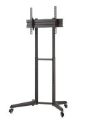 Stojak mobilny FL50-540BL1 Neomounts