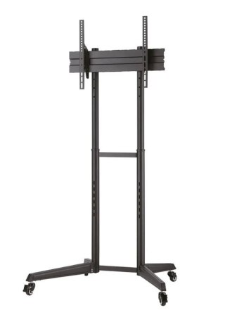 Stojak mobilny FL50-540BL1 Neomounts