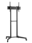 Stojak mobilny FL50-540BL1 Neomounts