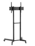 Stojak mobilny FL50-540BL1 Neomounts
