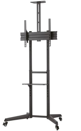 Stojak mobilny FL50-550BL1 Neomounts