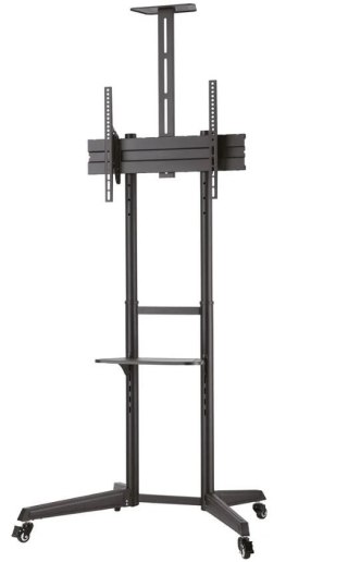 Stojak mobilny FL50-550BL1 Neomounts