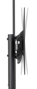Stojak mobilny FL50-550BL1 Neomounts
