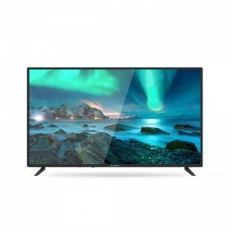 Telewizor LED 40 cali 40ATC6000-F Allview