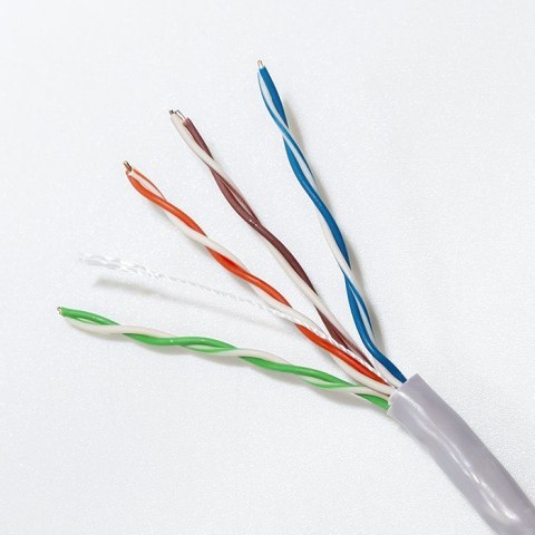 Kabel sieciowy/skrętka UTP | CAT5E | 305m Qoltec Kabel sieciowy/skrętka UTP | CAT5E | 305m Qoltec