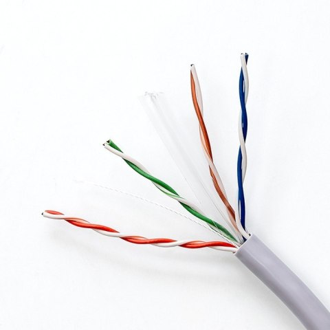 Kabel sieciowy/skrętka UTP | CAT6 | 305m Qoltec Kabel sieciowy/skrętka UTP | CAT6 | 305m Qoltec
