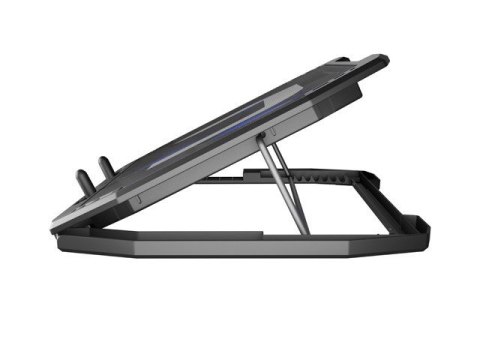 Podstawka pod notebook Oriole 15.6 cali - 17.3 cali Natec Podstawka pod notebook Oriole 15.6 cali - 17.3 cali Natec