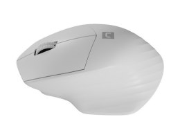 Mysz bezprzewodowa Siskin 2 1600 DPI Bluetooth 5.0 + 2.4GHz, biała Natec