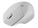 Mysz bezprzewodowa Siskin 2 1600 DPI Bluetooth 5.0 + 2.4GHz, biała Natec