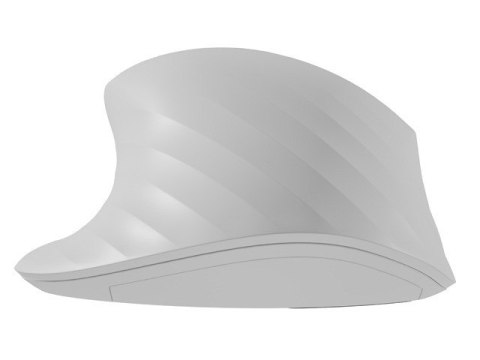 Mysz bezprzewodowa Siskin 2 1600 DPI Bluetooth 5.0 + 2.4GHz, biała Natec Mysz bezprzewodowa Siskin 2 1600 DPI Bluetooth 5.0 + 2.4GHz, biała Natec