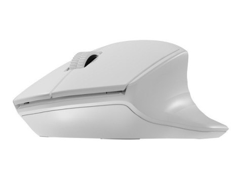 Mysz bezprzewodowa Siskin 2 1600 DPI Bluetooth 5.0 + 2.4GHz, biała Natec Mysz bezprzewodowa Siskin 2 1600 DPI Bluetooth 5.0 + 2.4GHz, biała Natec
