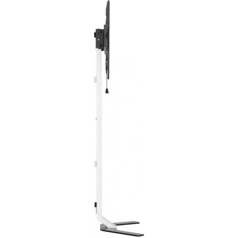 Stojak podłogowy do tv 32-70 cali 40kg slim Techly