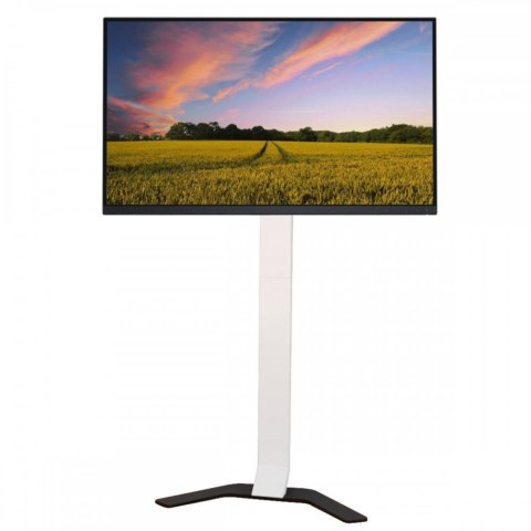 Stojak podłogowy do tv 32-70 cali 40kg slim Techly