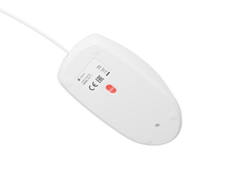 Mysz Ruff 2 1000 DPI Biała Natec Mysz Ruff 2 1000 DPI Biała Natec