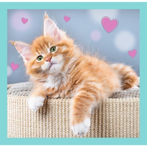 Puzzle 3w1 Słodkie zwierzaki kotki